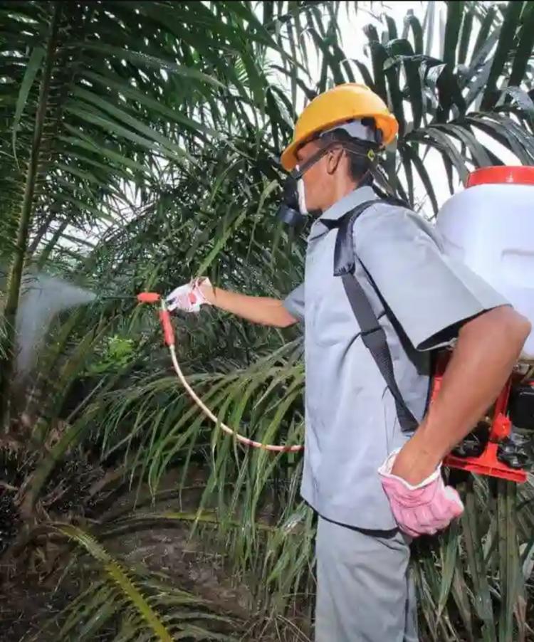 Cegah Ledakan Hama Penyakit, Petani Diminta Bijak Gunakan Herbisida dan Pestisida