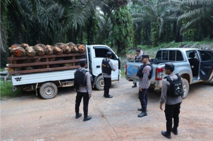 Operasi Cipta Kondisi Digelar di Seruyan, PKS dan Pengepul Sawit Harus Hati-Hati