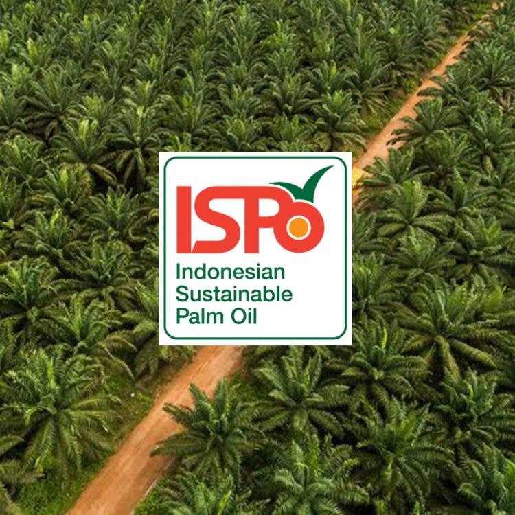 Target Wajib Sertifikasi ISPO 2025 Dinilai Sulit Terealisasi