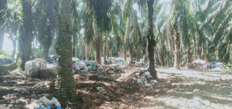 Sampah Meluber ke Kebun Sawit, DLH Rohul Dituding Tak Becus
