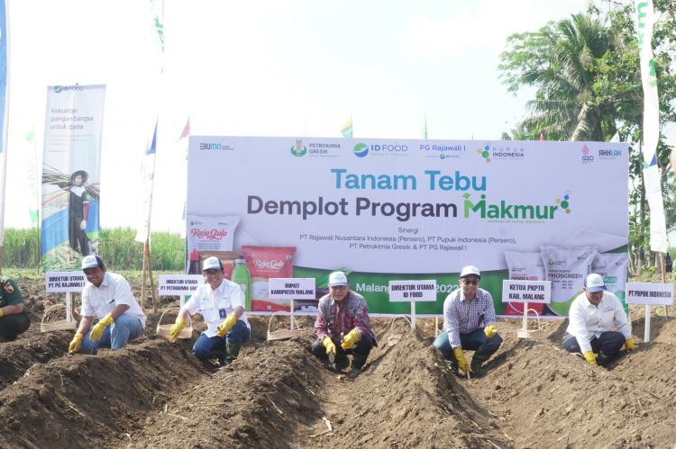 Dorong Produksi 5 Komoditas, Program Makmur Realisasikan Luas Tanam 692 Ha