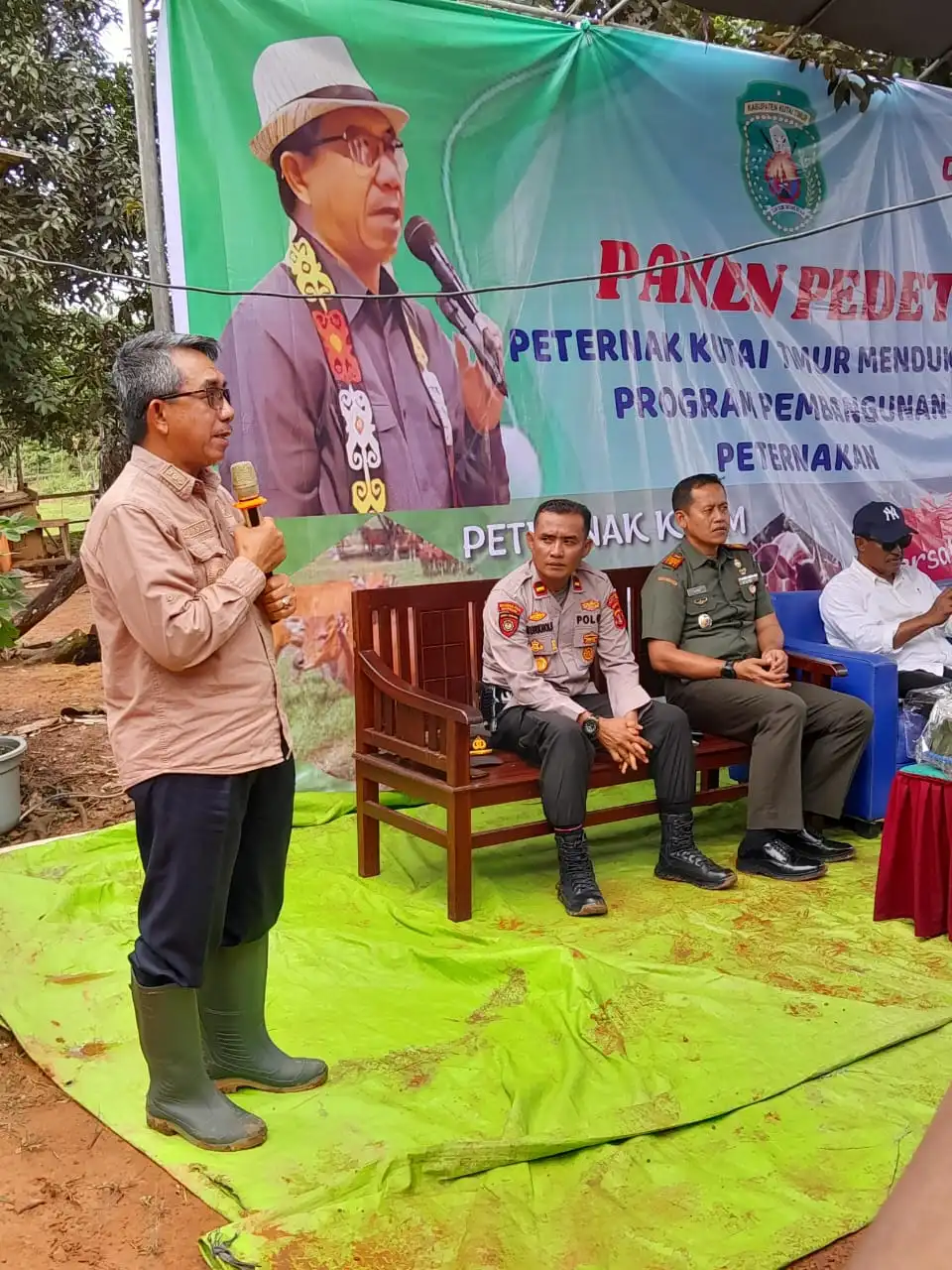 Peternak di Kutim Didorong Kembangkan Integrasi Sapi-Sawit