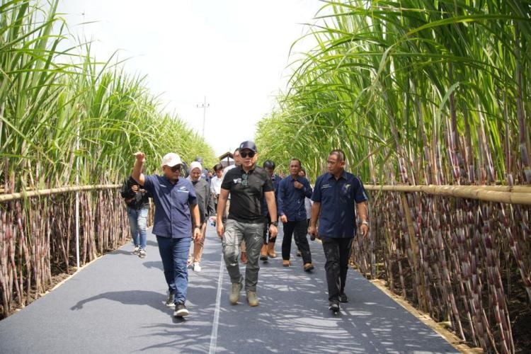 Holding Perkebunan Pertajam Program Pasca Transformasi Bisnis PTPN