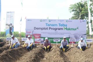 Dorong Produksi 5 Komoditas, Program Makmur Realisasikan Luas Tanam 692 Ha