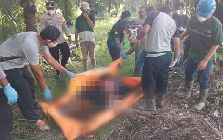 Seorang Pria Tewas Mengambang di Rawa di Tengah Kebun Sawit Perusahaan