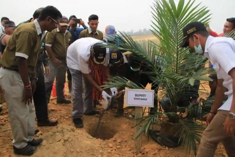 Realisasi Peremajaan Sawit di Kalbar Capai 18.573 Hektare