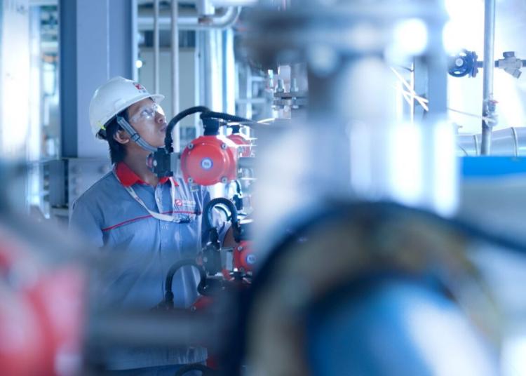 Perusahaan Sawit ini Buka Pendaftaran Beasiswa, Simak Syarat dan Kuotanya