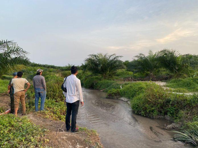 Cari Timah, 3 Penambang Obok-obok Kebun Sawit PT GSBL 