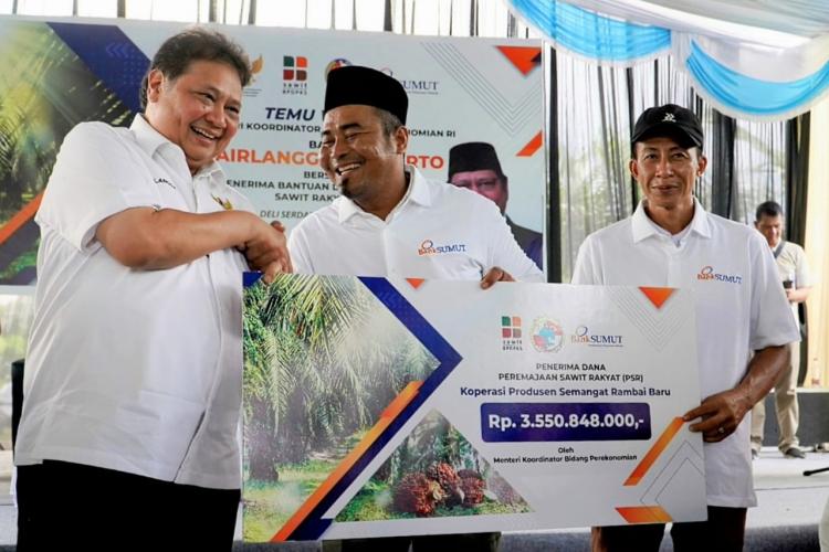 Pekebun Didorong Manfaatkan KUR untuk Dukung Akselerasi Program PSR