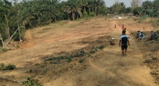 Penyuluh Diminta Pastikan Petani Terus Menanam Sampai Kiamat