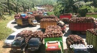 Nilai Ekspor Riau 2023 Tembus USD18,87 Miliar, Sawit Jadi Produk Unggulan