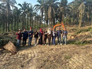 PSR Tahap Tiga, 85 Hektar Kebun Sawit KUD Bukit Jaya Direplanting