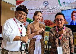 Tahun Ini, Produksi CPO Diprediksi Turun 10 Persen