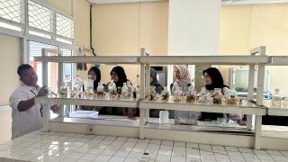 Minat Gen Z Pada Perkebunan Dirangsang Lewat Program Internship