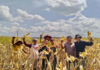 Sektor Pertanian Sedot Rp10,77 Triliun KUR Bank Mandiri