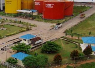 CBI Group Perkuat Sustainability di Semua Unit Bisnis dan Pekebun Sawit Mitra