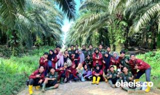 Efek Sawit, Gemoy...