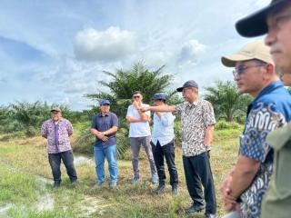 Kebun Adolina Diminta Terapkan 8 Program Strategis PalmCo