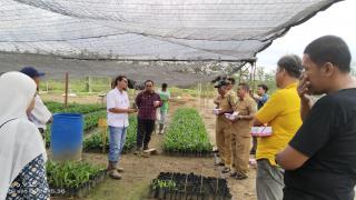 Lewat ToT, Penyuluh Dibekali Ilmu GAP Hingga Cara Memproduksi Bibit Unggul Sawit