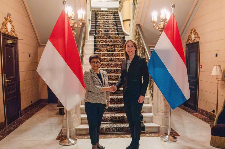 Kebijakan EUDR Bikin Rugi Industri Sawit, RI Minta Dukungan Belanda 