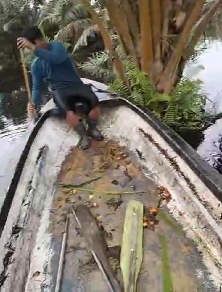 Sawit di Desa Mekar Jaya Sulit Dipanen, Upah Pekerja Membengkak Pula