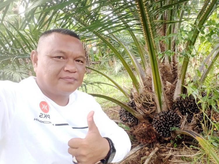 Jadi Caleg, Abdul Manaf Janji Soroti Dua Penyakit Struktural Sawit  di Aceh Barat