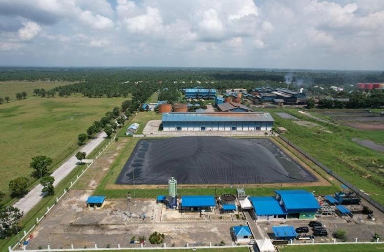 Pertamina NRE dan PTPN III Sepakati Komersialisasi Kredit Karbon dari PLTBg