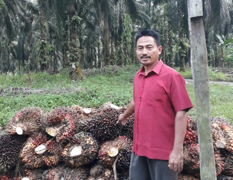 Organisasi Kami Nonpartisan, tapi Kami Punya Harapan agar ...