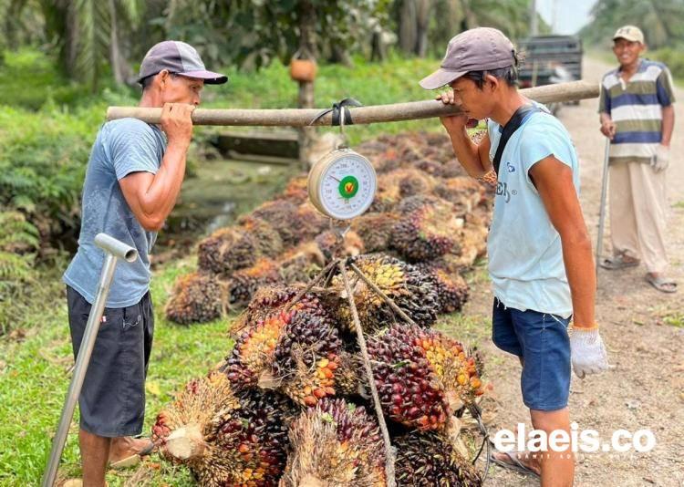 Status Lahan Jadi Penghambat PSR di Kukar