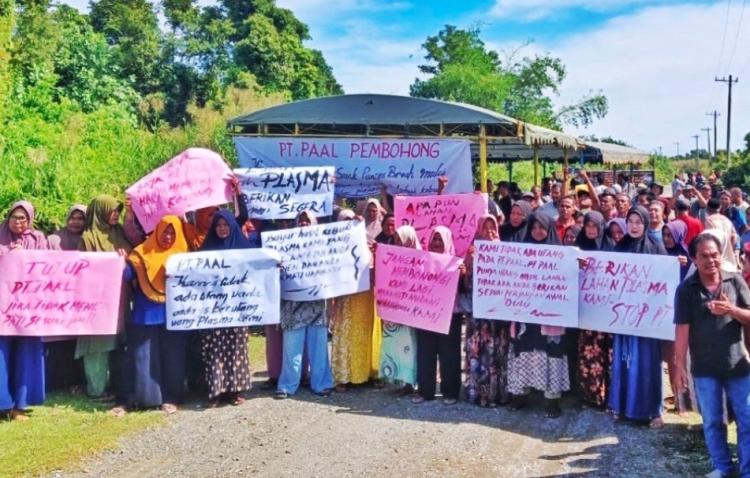 Serahkan Lahan 450 Hektar untuk Kebun Plasma Tapi Tak Dapat Bagi Hasil, Masyarakat Meradang