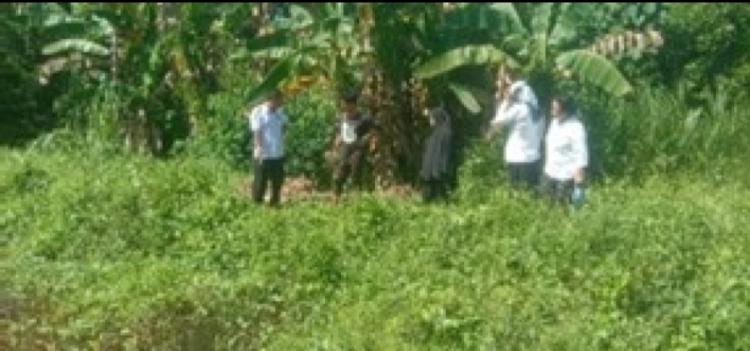 Begini Upaya Disbun Sulbar Antisipasi Dampak Perubahan Iklim di Perkebunan Rakyat