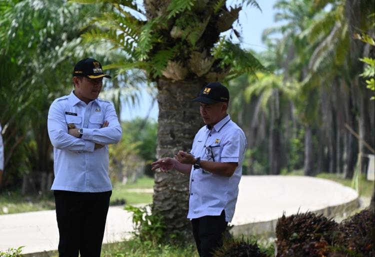 Bisa Pakai DBH Sawit, Peningkatan Jalan Modang-Pasir Mayang Dituntaskan Tahun ini
