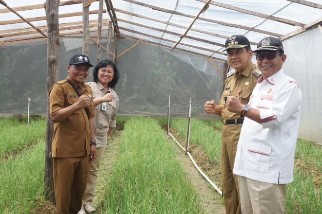 Kobar Genjot Produksi Bawang Merah, Perusahaan Sawit Bantu ini