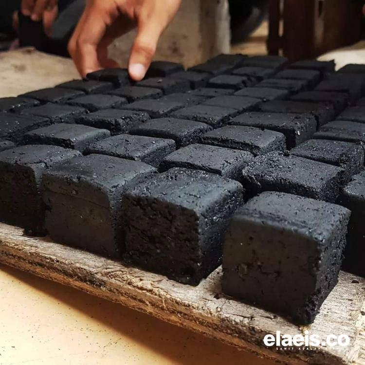 Dukung Hilirisasi Cangkang Kelapa Sawit Menjadi Briket