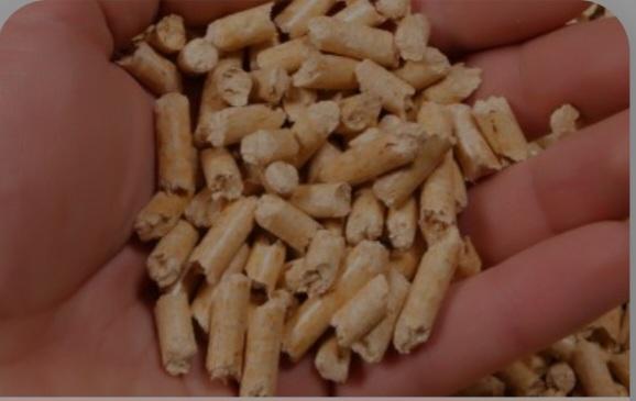 Limbah Sawit Bikin Pria Jatim Ini Dikagumi Pihak Asing