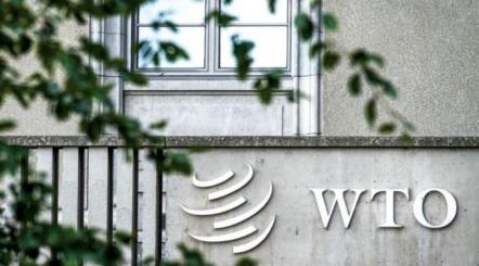 Kebijakan Dagang Uni Eropa Bikin Kesal, Indonesia Ngadu ke WTO