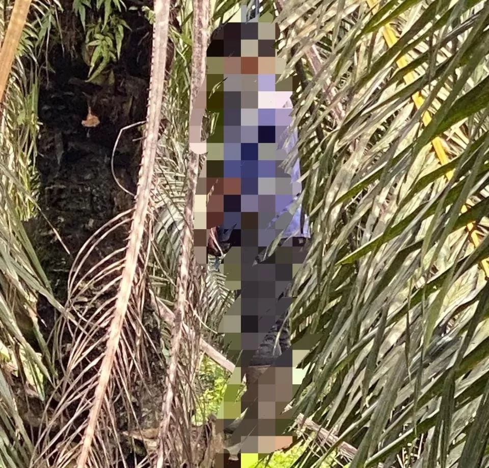 Karyawan Perusahaan Gantung Diri di Pohon Sawit, Diduga Karena Masalah ini