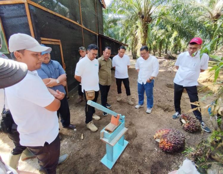 Tingkatkan Efektivitas dan Efisiensi, PTPN IV Regional II Lakukan Sejumlah Terobosan