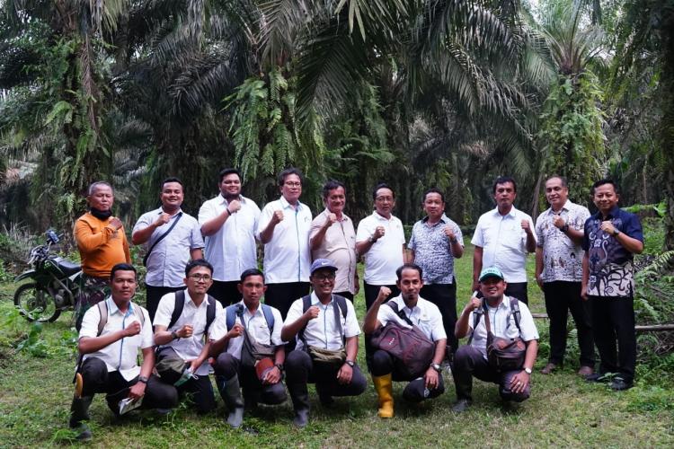 Catatan Awal Tahun Mengesankan, Manajemen PTPN IV Regional II Optimis Capai Target RKAP