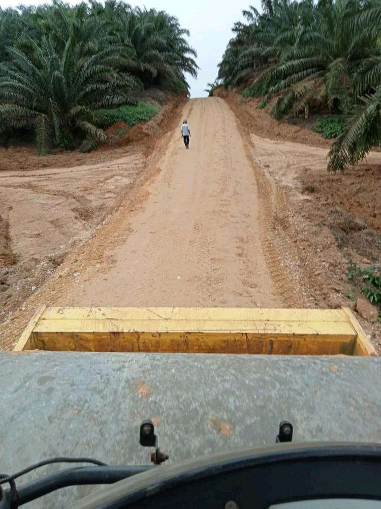 Tiga Lembaga Pekebun di Riau Minta BPDPKS Bantu Perbaiki Jalan Kebun