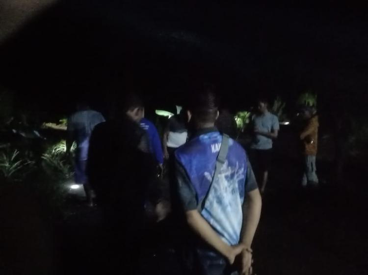 Ada Harimau, Pekerja Perusahaan Sawit di Siak Diminta Tak Keluar Malam