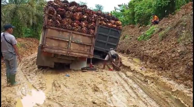 Supir Tewas Terjepit Usai Keluarkan Truk Sawitnya dari Jebakan Lumpur
