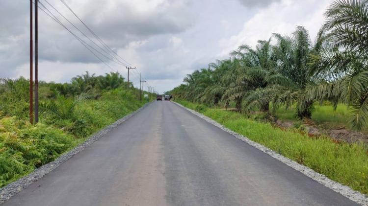 DBH Sawit Kalsel Dipakai untuk Perbaikan Jalan Anjir Pasar Marabahan 