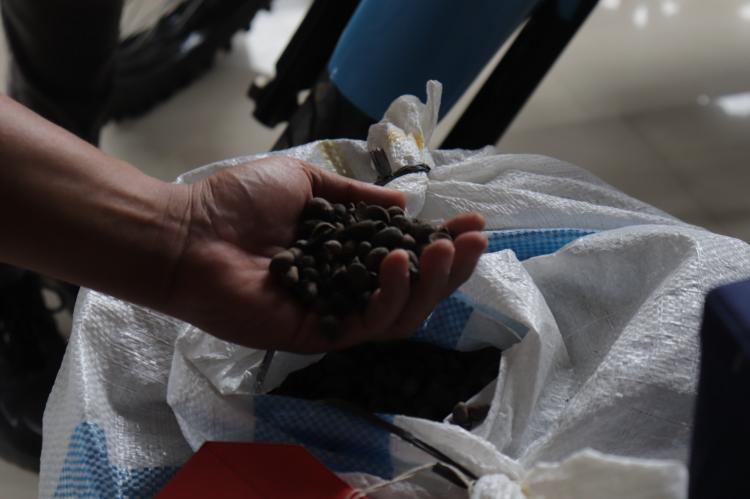 Libatkan Orang Dalam, Tiga Pelaku Curi 48 Ton Inti Sawit Milik PTPN 1 Regional 7