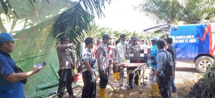 Karyawan Kebun Sawit Gantung Diri, Sempat Merasa Dipermalukan di Medsos