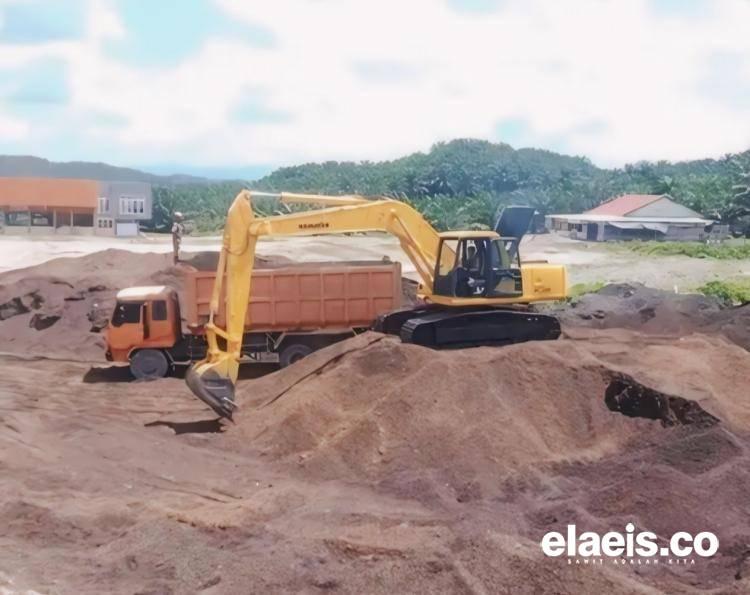 PKS di Bengkulu Harus Dukung Hilirisasi Cangkang Kelapa Sawit
