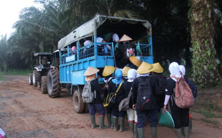 Eksploitasi Pekerja Perempuan di Sektor Sawit dan Perikanan Harus Dihapuskan