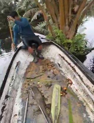 Karena Banjir, Sudah 2 Bulan Petani Sawit ini Bergantung pada Penghasilan Istri