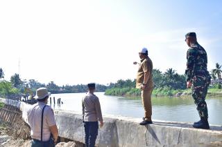 Tanggul Rawan Ambruk, Sungai Tamiang Dibentengi Ratusan Batang Kelapa Sawit