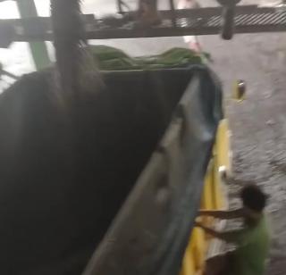 Naik Terus Harga Penawaran pada Tender Palm Kernel Astra Periode 6-7 Februari 2024